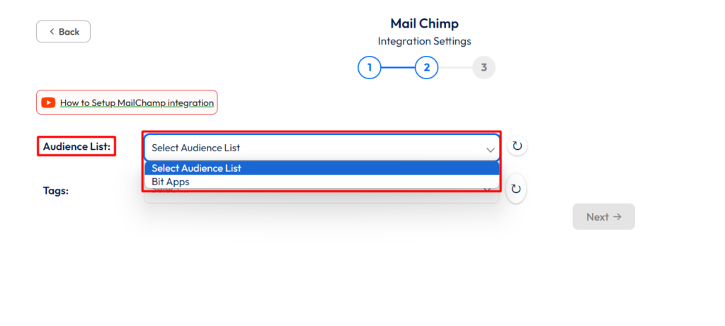 Mailchimp integration with bit form - audience list