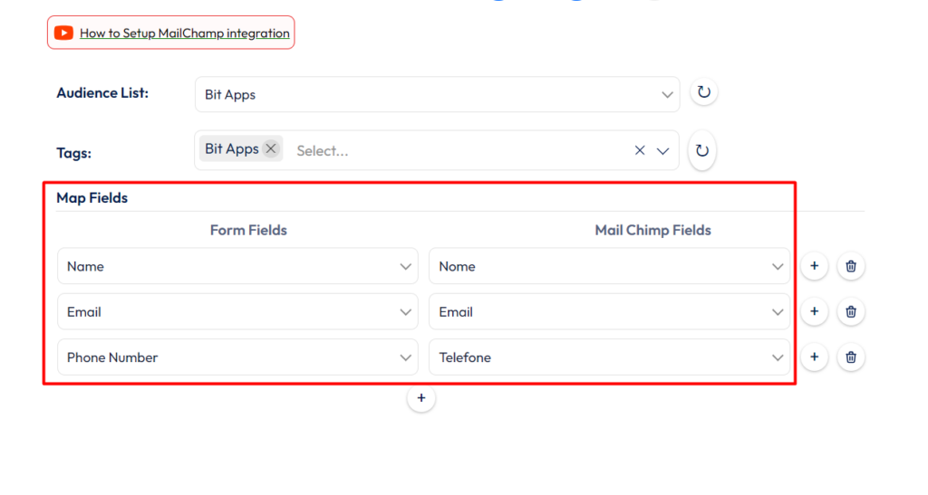 Mailchimp integration with bit form - field mapping