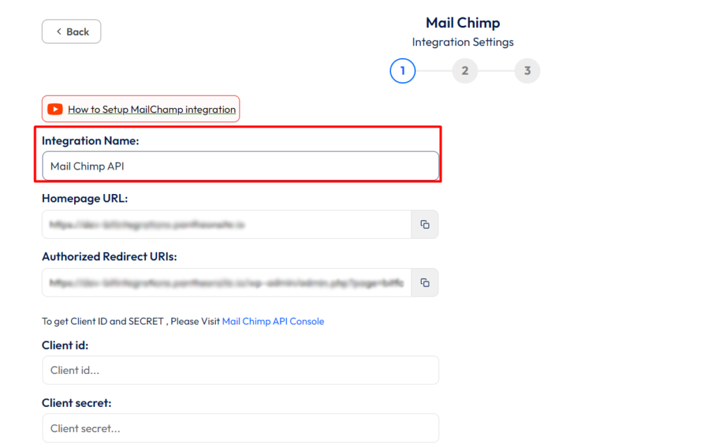 Mailchimp integration with bit form - set integration name