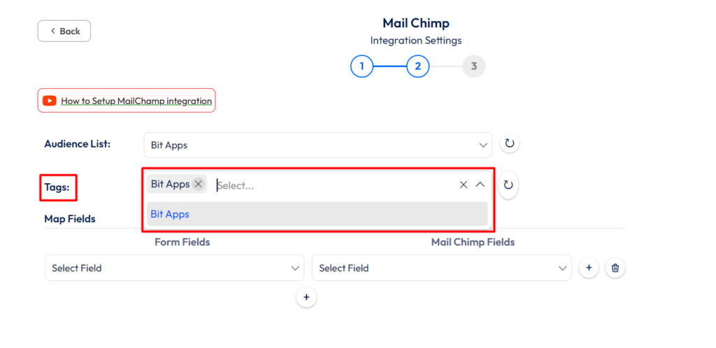 Mailchimp integration with bit form - tags