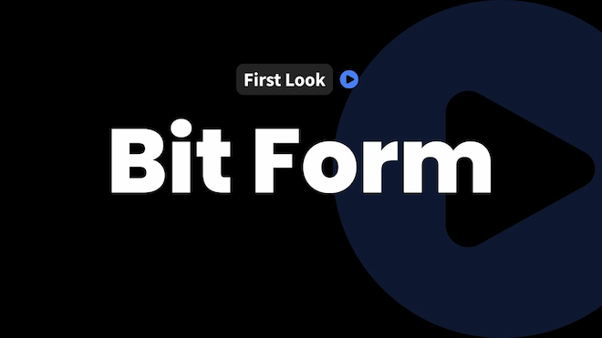 InfluenceWP bit form