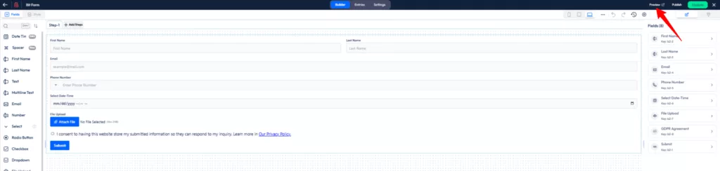 haga clic en vista previa antes de publicar el formulario