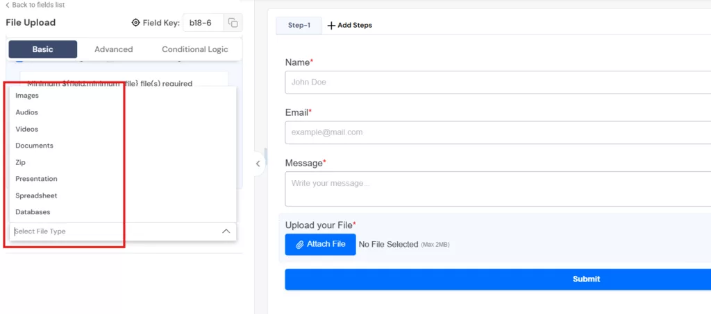 allows different types of files